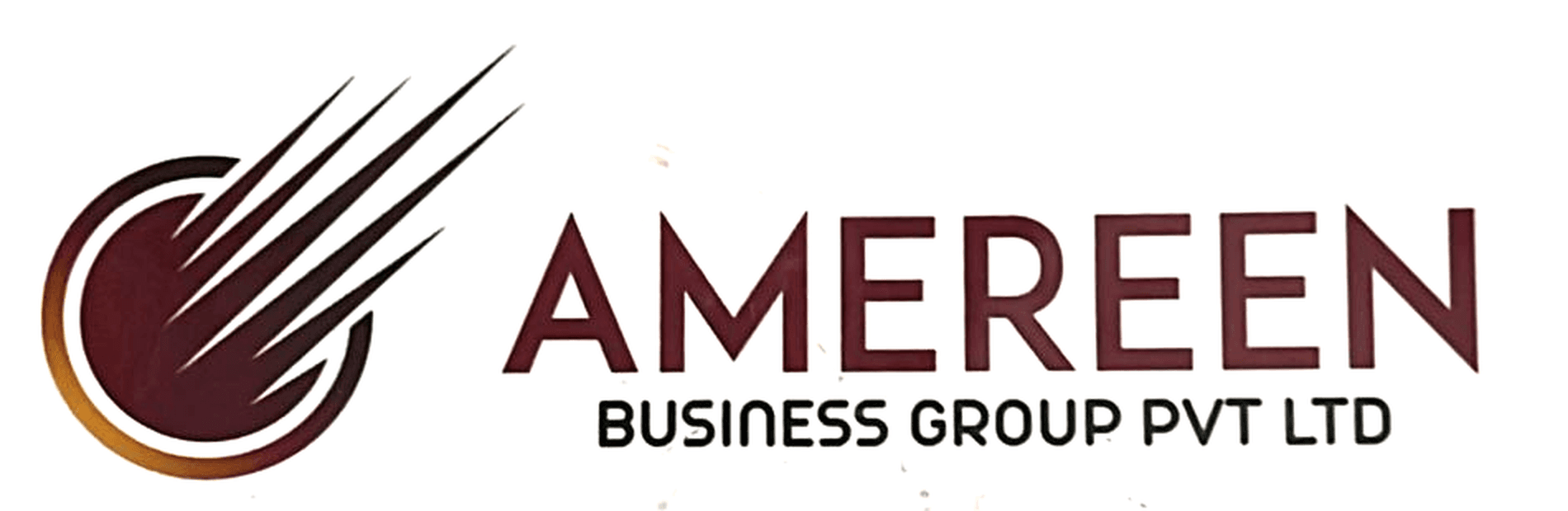 Amereen Business Group Pvt Ltd logo